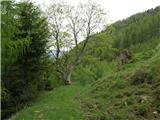 Weissensee - Hochstaff